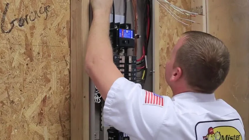 Slide of Mister Sparky of Charleston