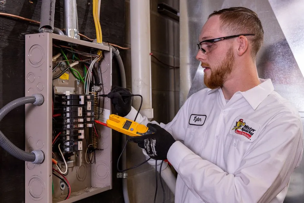 Slide of Mister Sparky of Cincinnati