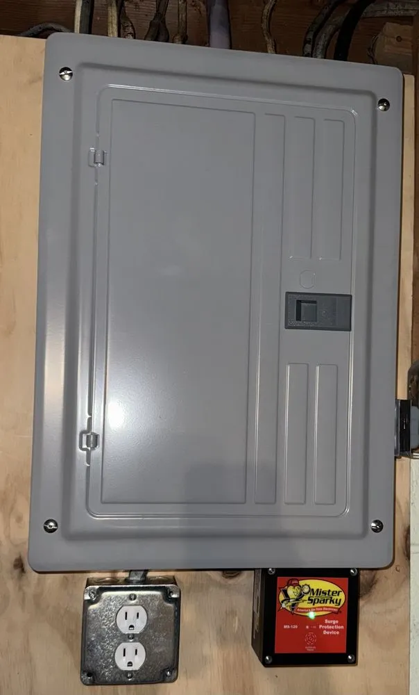 Slide of Mister Sparky of Greater Columbus