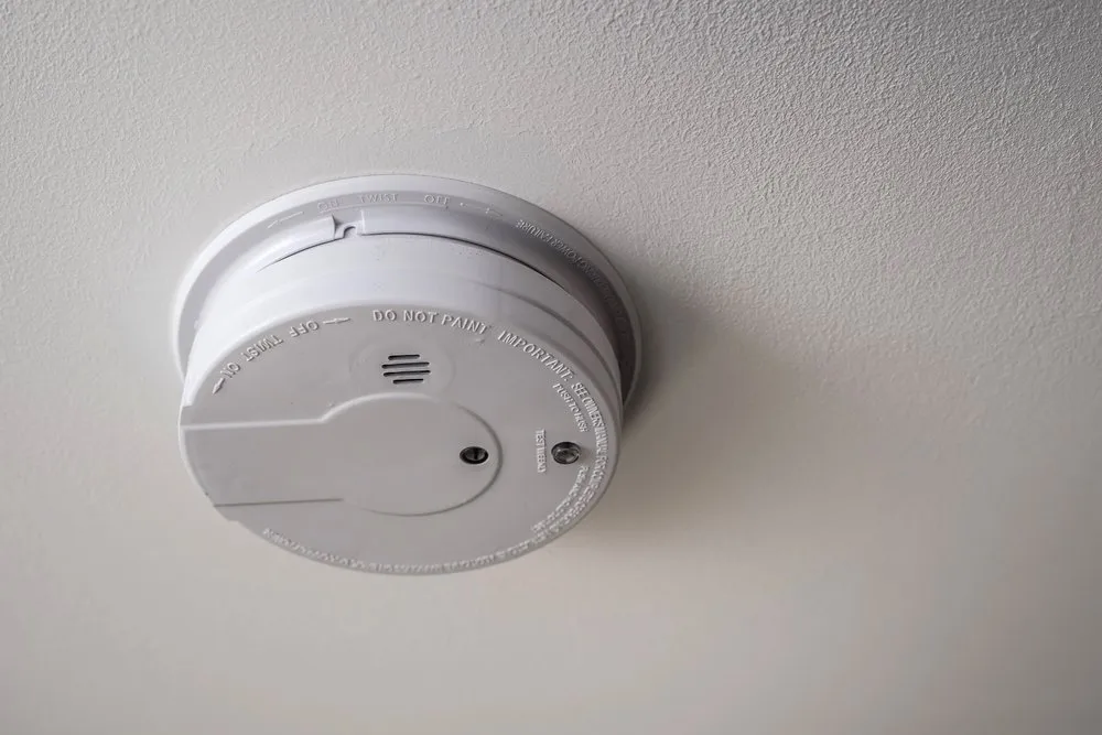 Slide of Mister Sparky of Lexington