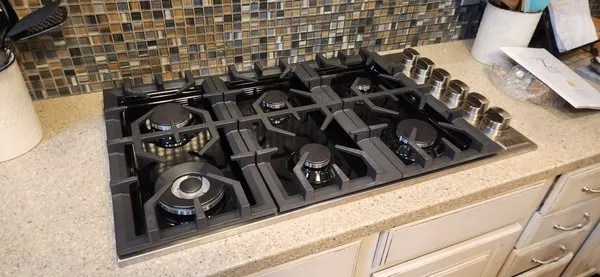 Mister Sparky of Sarasota