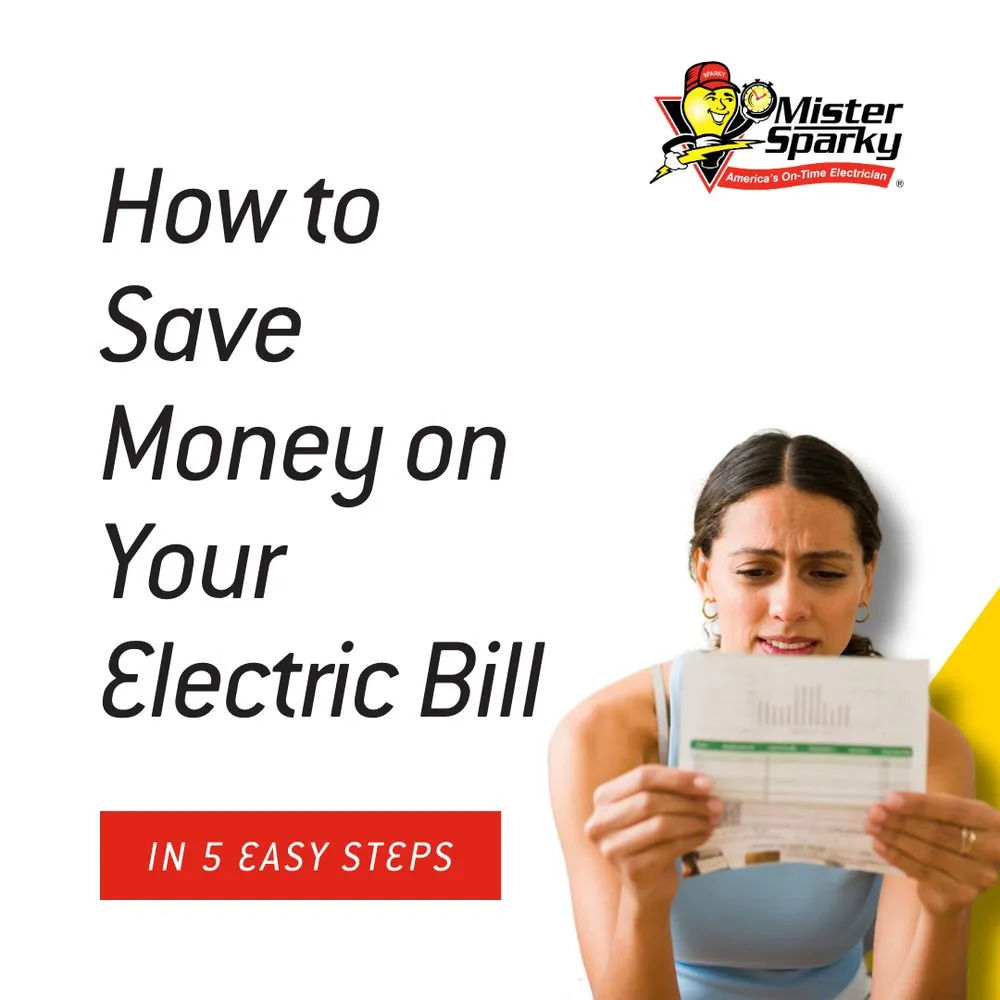 Slide of Mister Sparky of Suffolk County