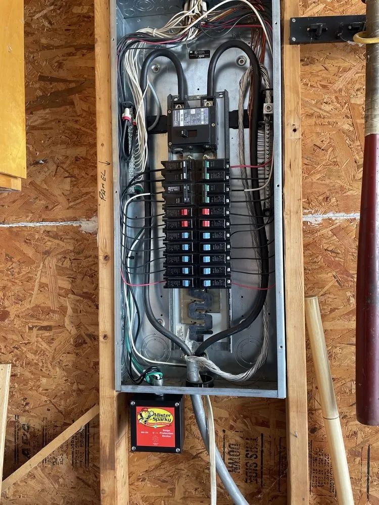 Slide of Mister Sparky of Wilmington