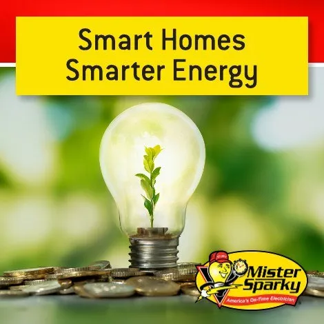 Slide of Mister Sparky