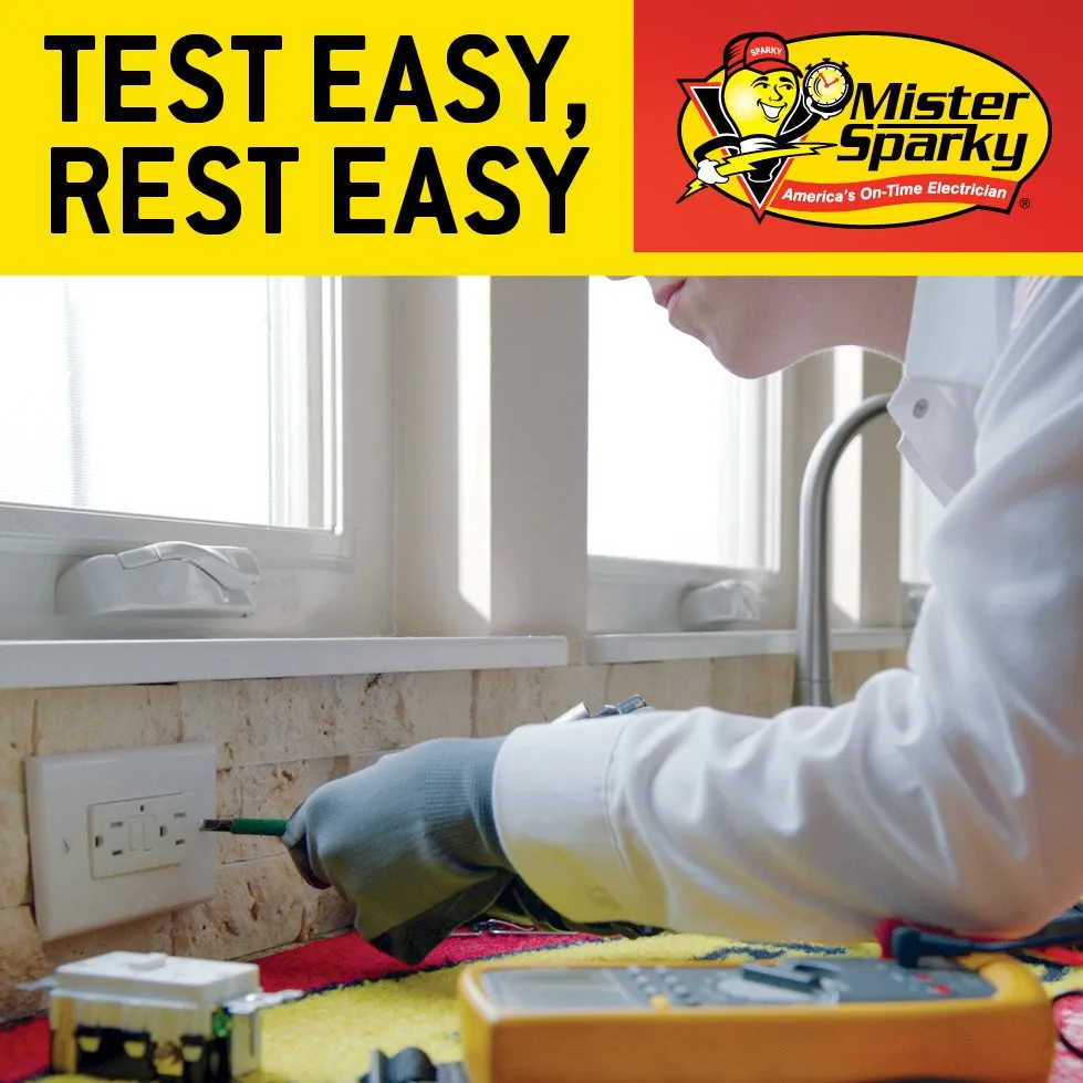 Slide of Mister Sparky