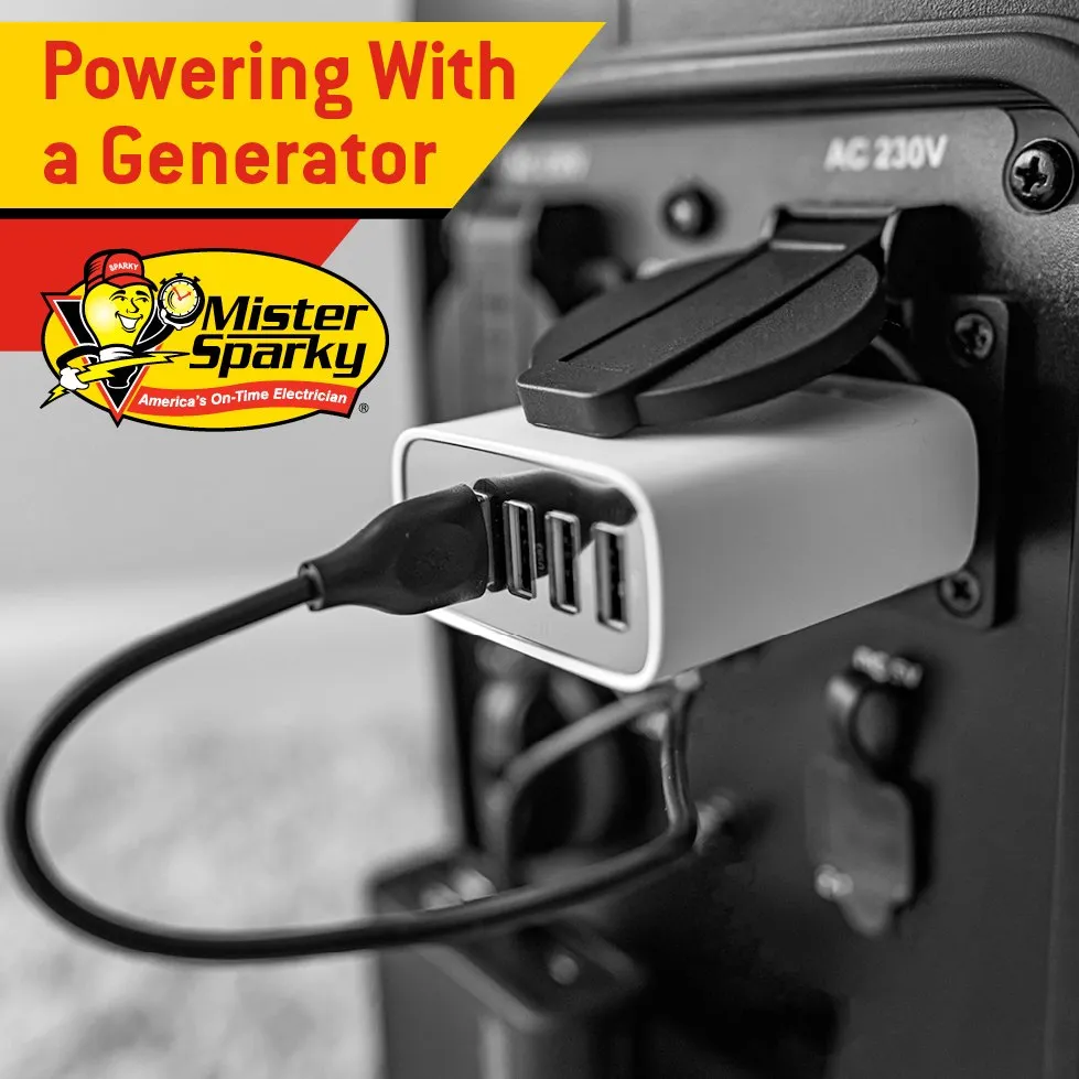 Slide of Mister Sparky