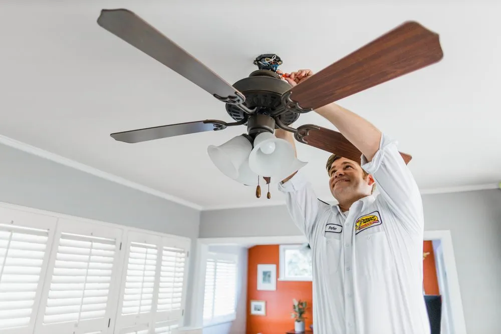 Slide of Mister Sparky