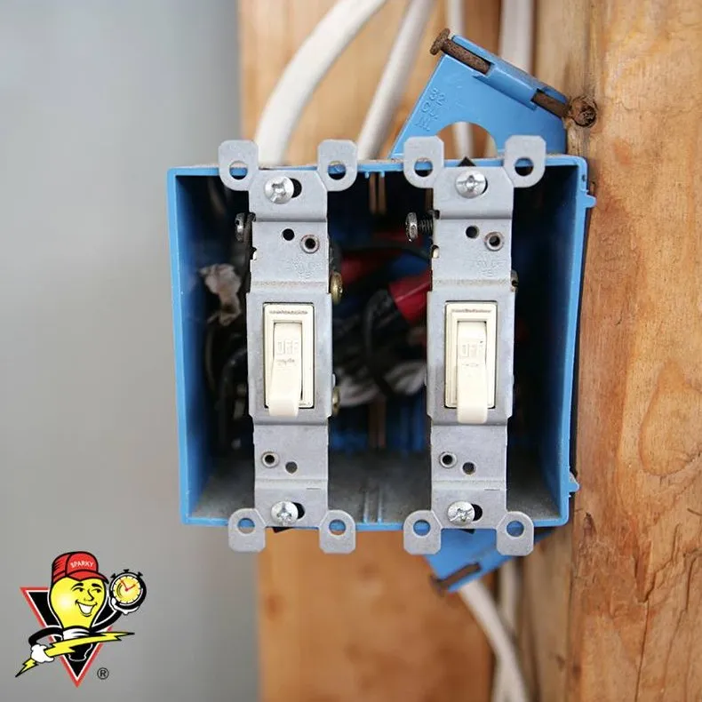 Slide of Mister Sparky