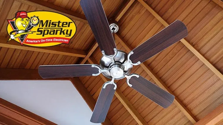 Slide of Mister Sparky