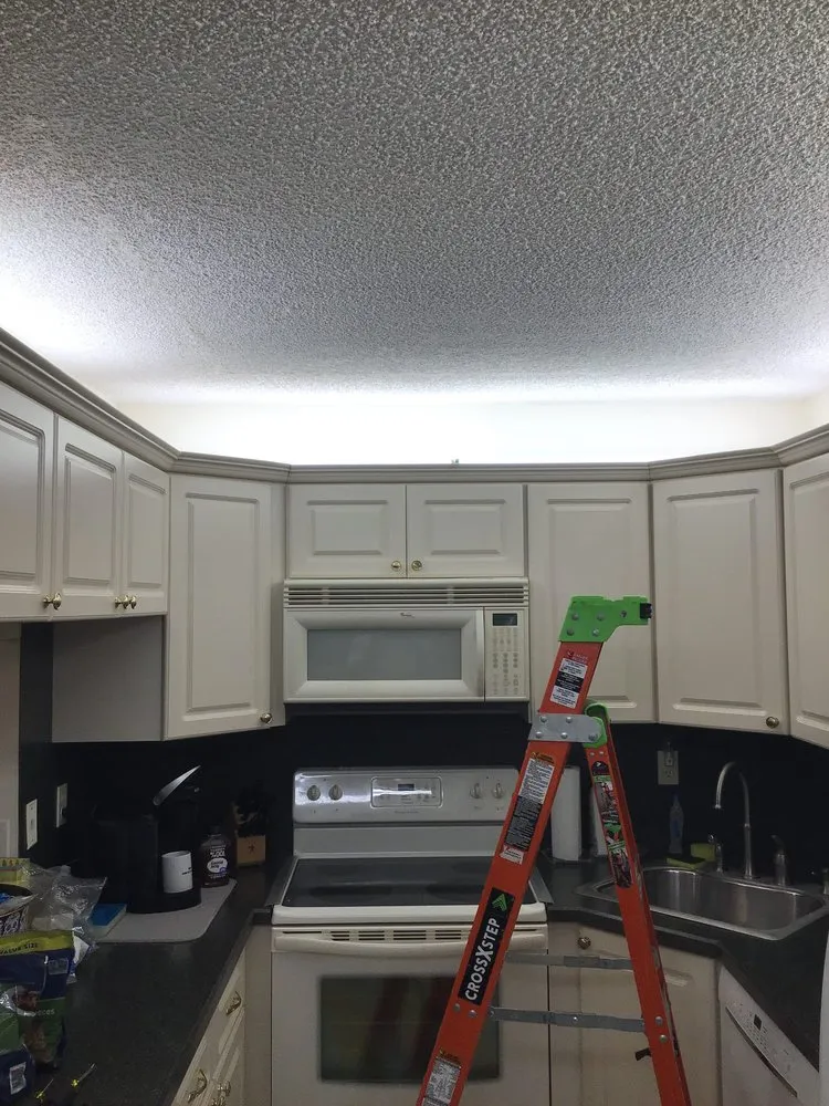 Slide of Mister Sparky