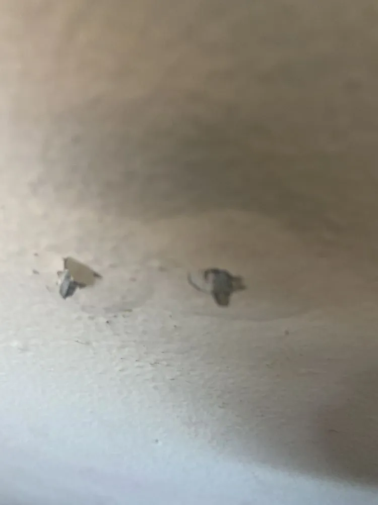 Slide of Mister Sparky