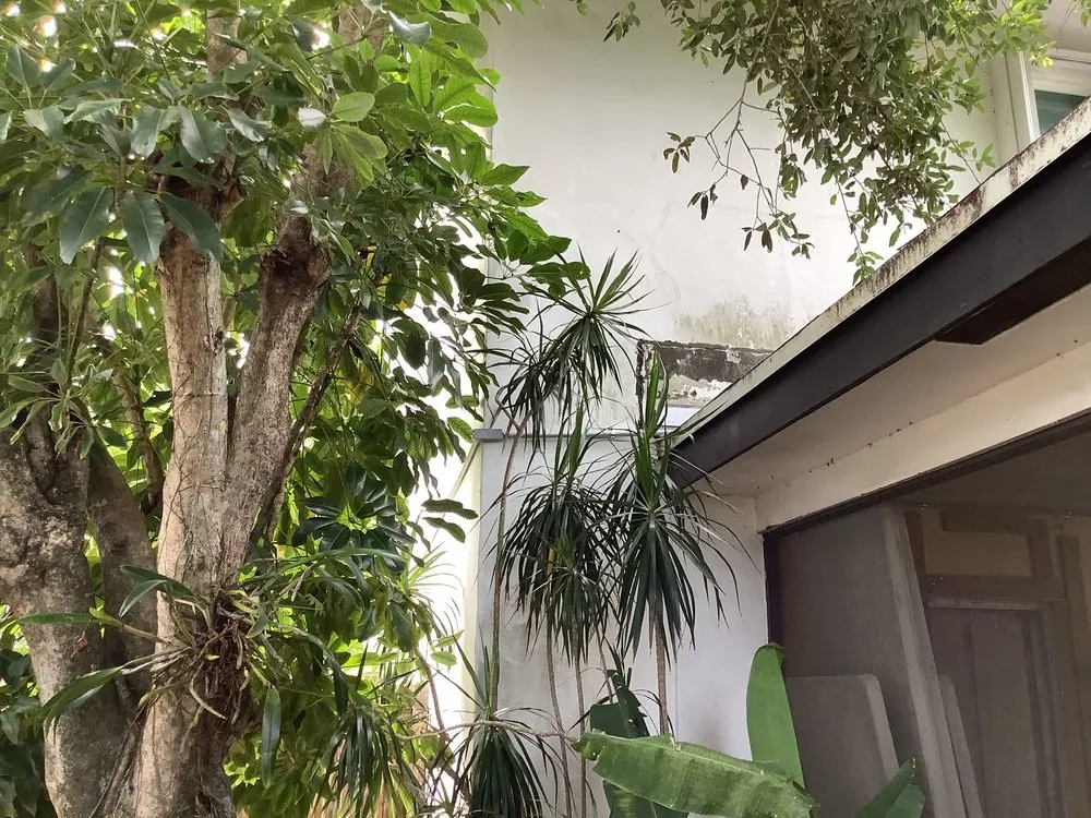 Slide of Mister Sparky