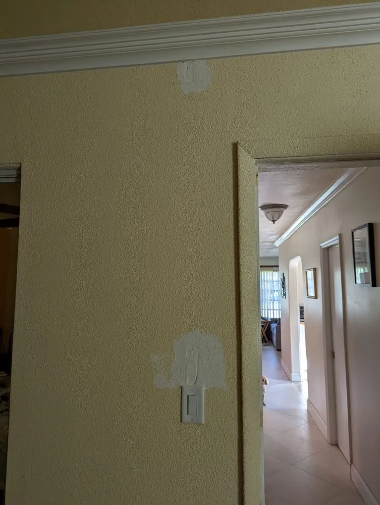 Slide of Mister Sparky