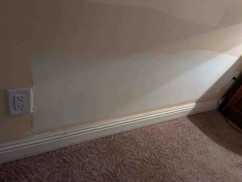 Slide of Mister Sparky