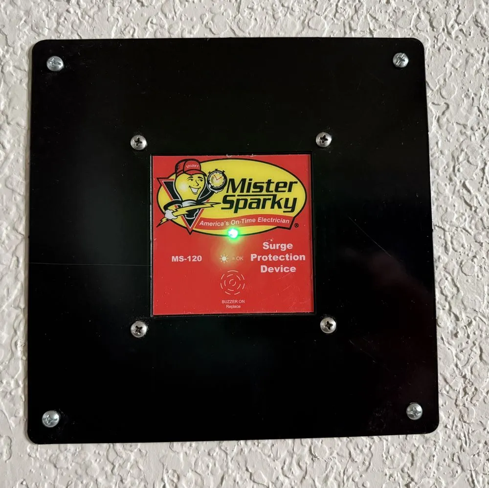 Slide of Mister Sparky