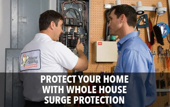 Slide of Mister Sparky San Francisco