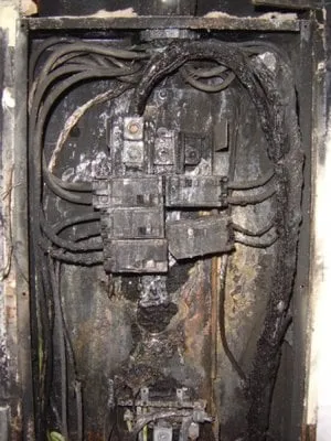 Slide of Mister Sparky San Francisco