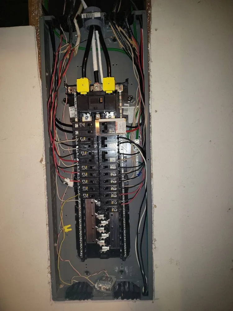 Slide of Mister Sparky