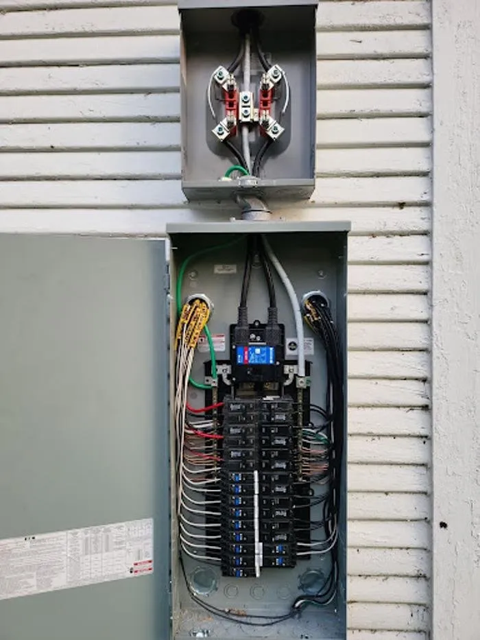 Slide of Mister Sparky