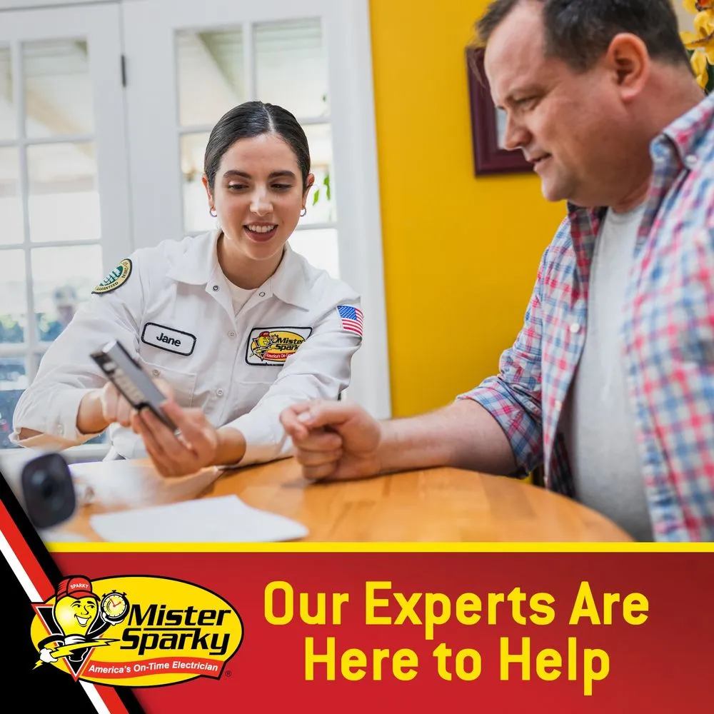 Slide of Mister Sparky