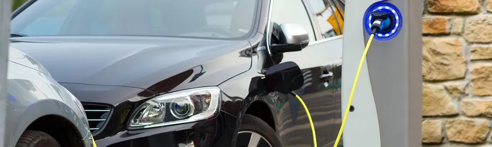 Slide of Mister Sparky Slo