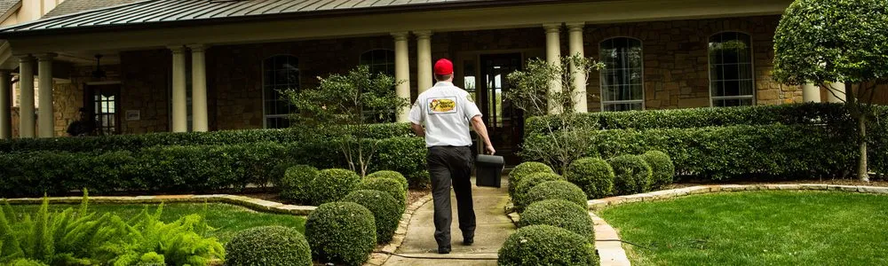 Slide of Mister Sparky Slo