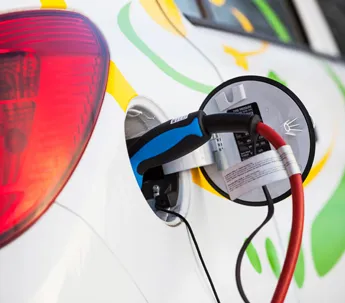 Slide of Mister Sparky Slo