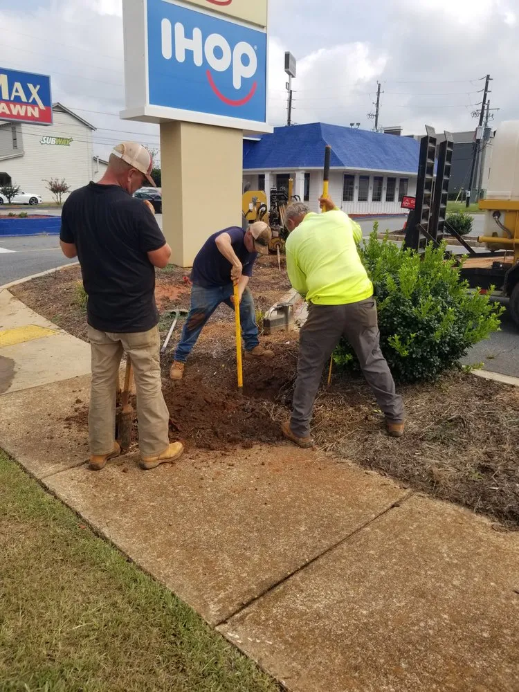 Slide of Mister Volts