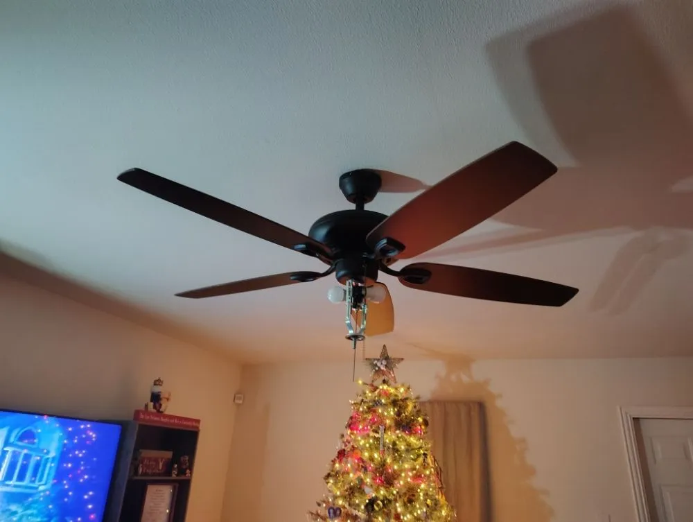 Affordable electrical repair in Overton, TX by Misty's Handy Girl Service