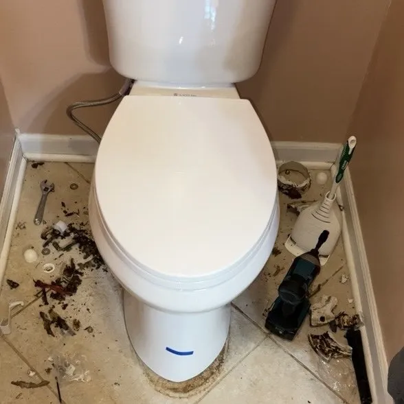 Slide of Mitchey Cleaning And Repair Services