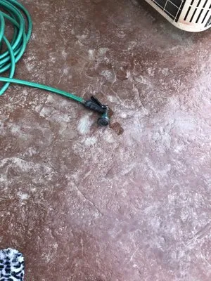 Mitch's Home Repair & Renovation Logo