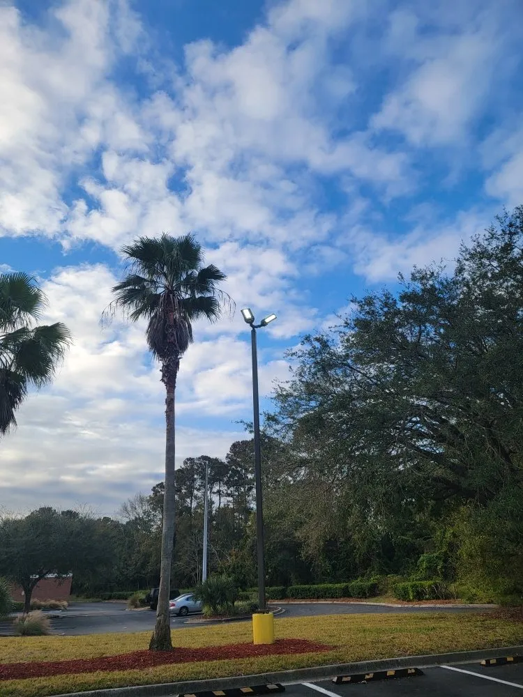 Slide of MJ Service Solutions