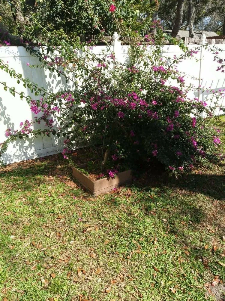 Trusted electrical repair service in ,  - M&M Property Maintenance & Remodel