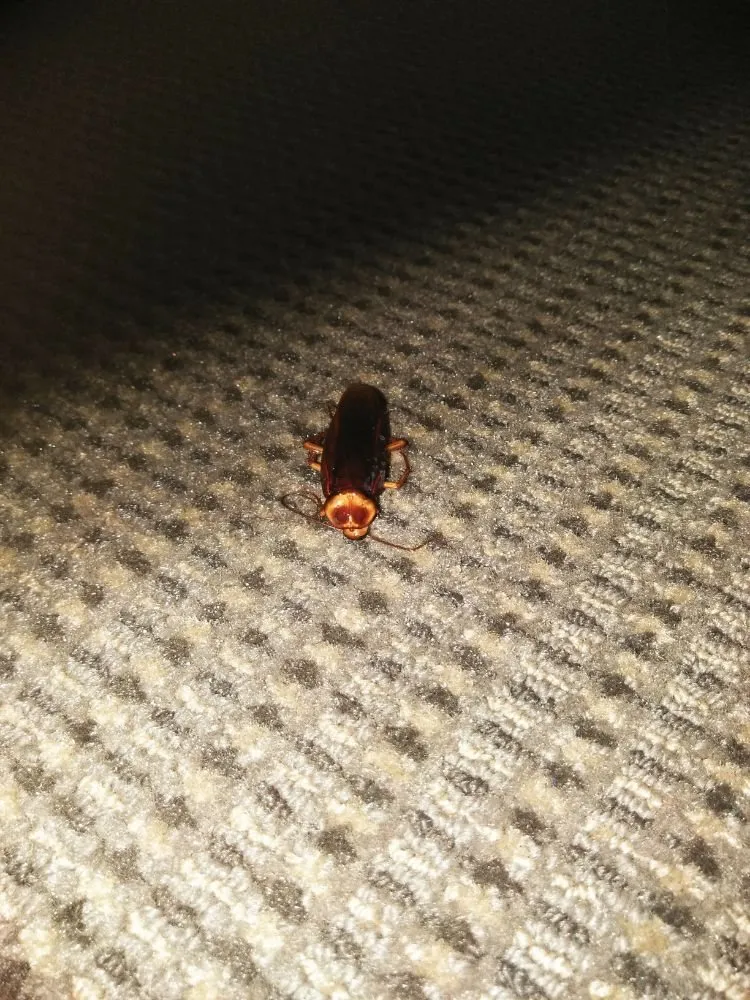 Slide of M&M Property Maintenance & Remodel