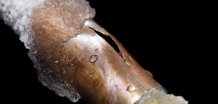 Slide of MnM Service