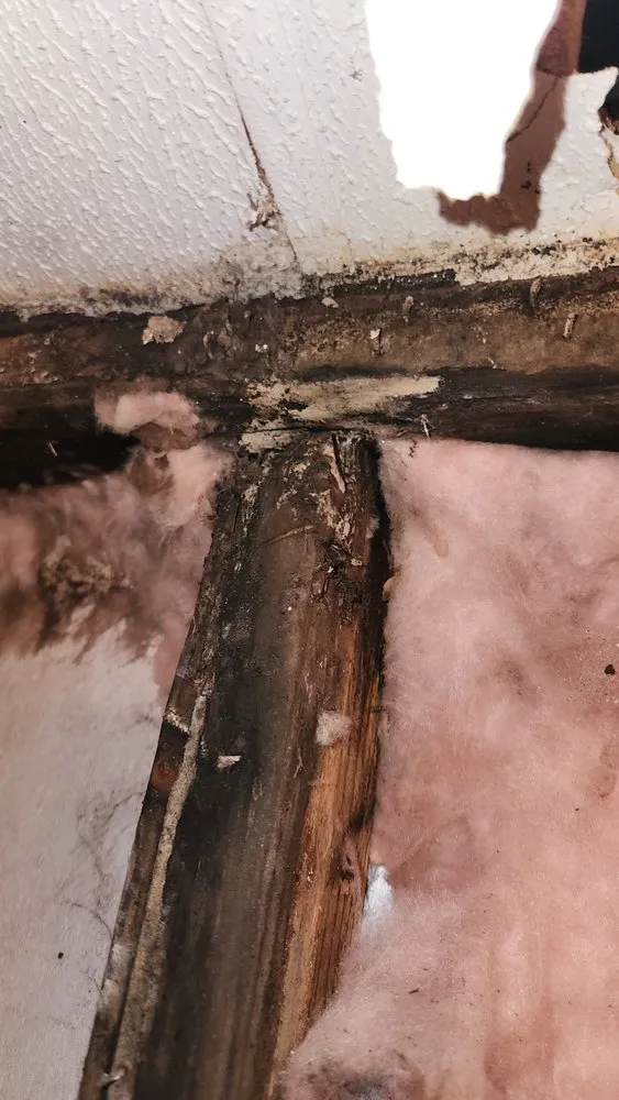 Slide of Mobile Home Contractor