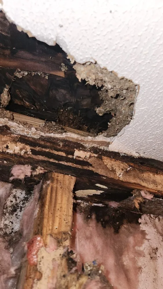 Slide of Mobile Home Contractor