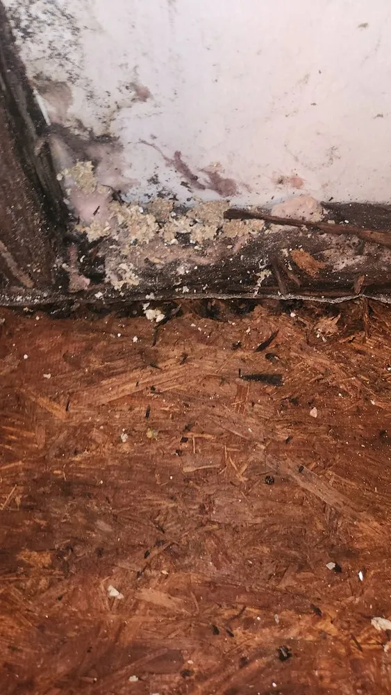 Slide of Mobile Home Contractor