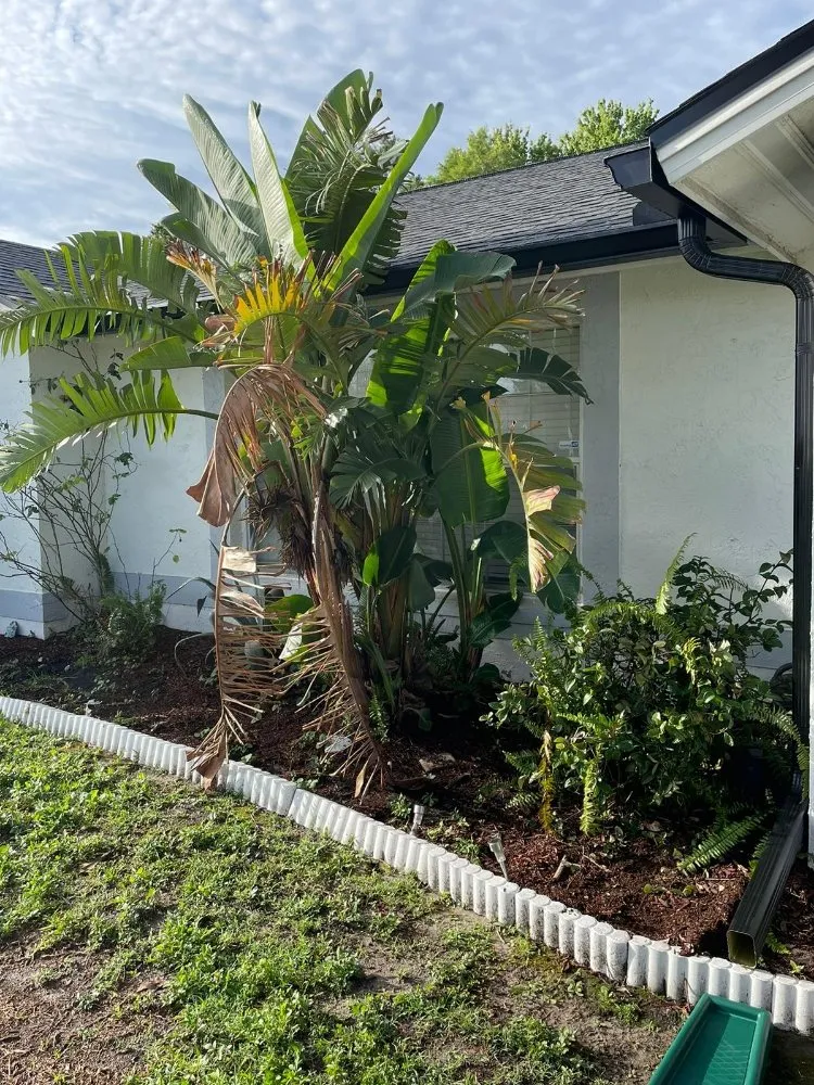 Slide of Modabuild Developers