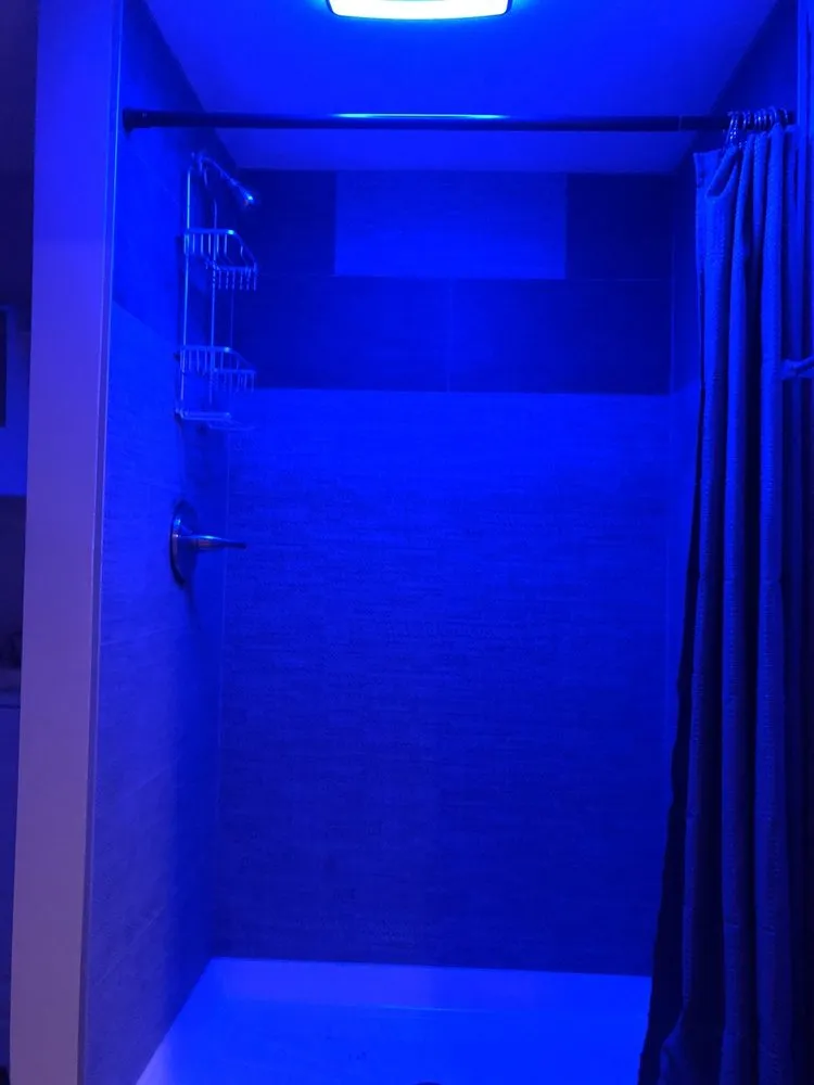 Slide of Modern Branch Designs