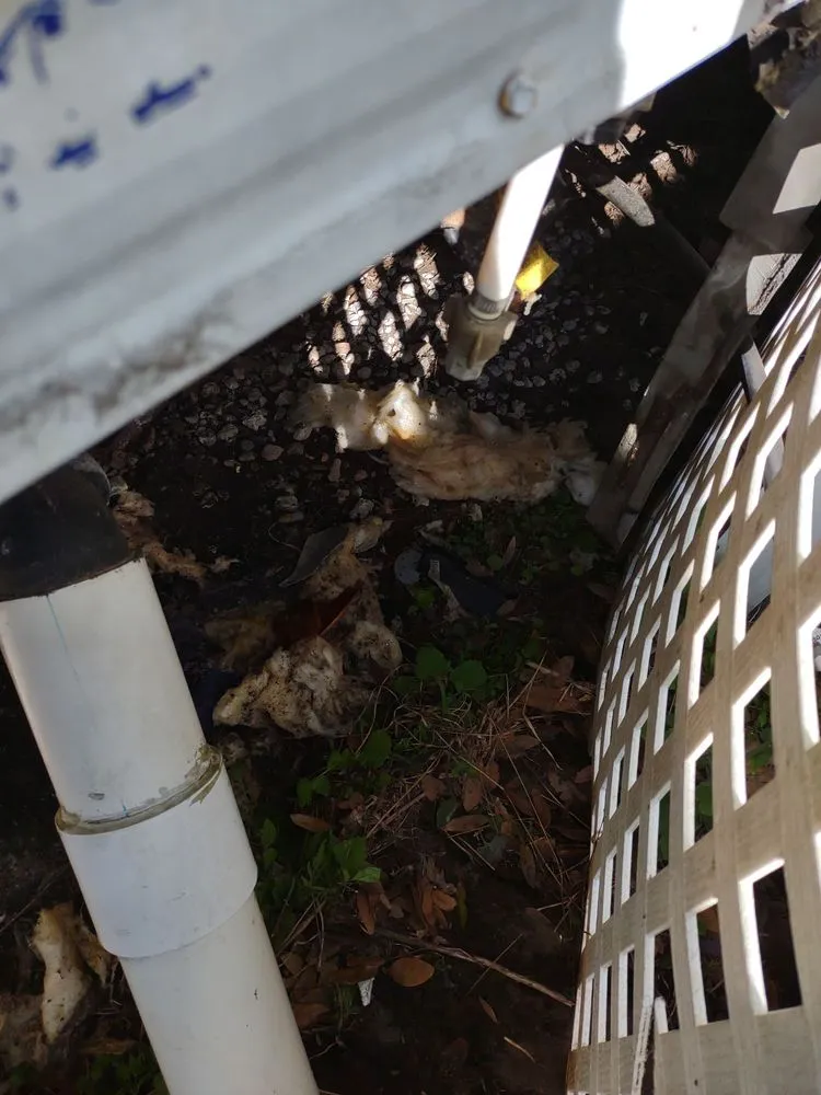 Slide of Modern Day Kitchen and Bath