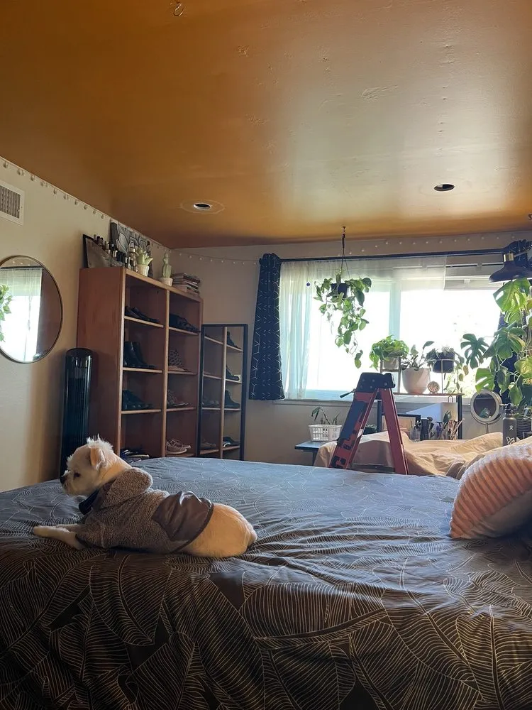 Slide of Modern Electric Solutions