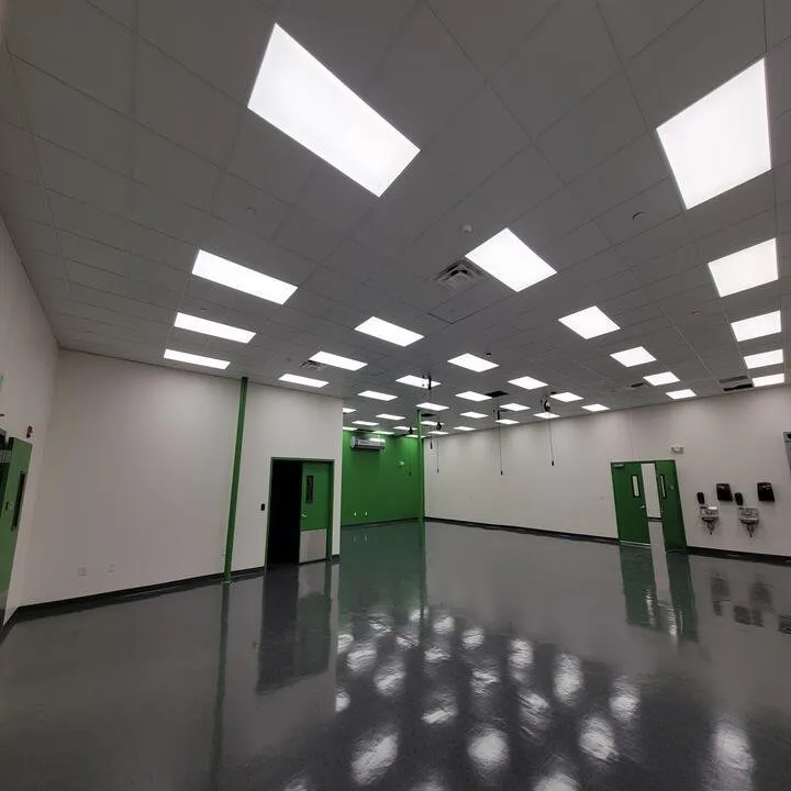 Slide of Modern Electric