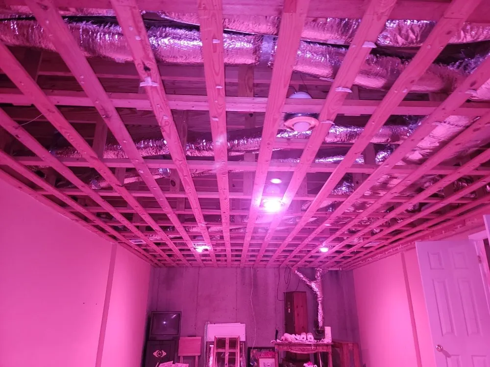 Slide of Modern Property Solutions