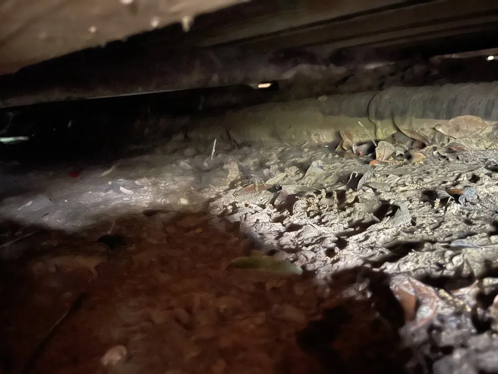 Slide of montys soil pumping services