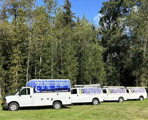 Moon Electric Company