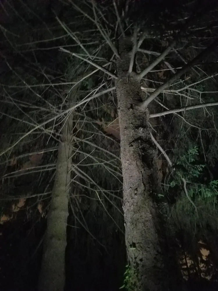 Slide of Moonscape Landscape Illumination