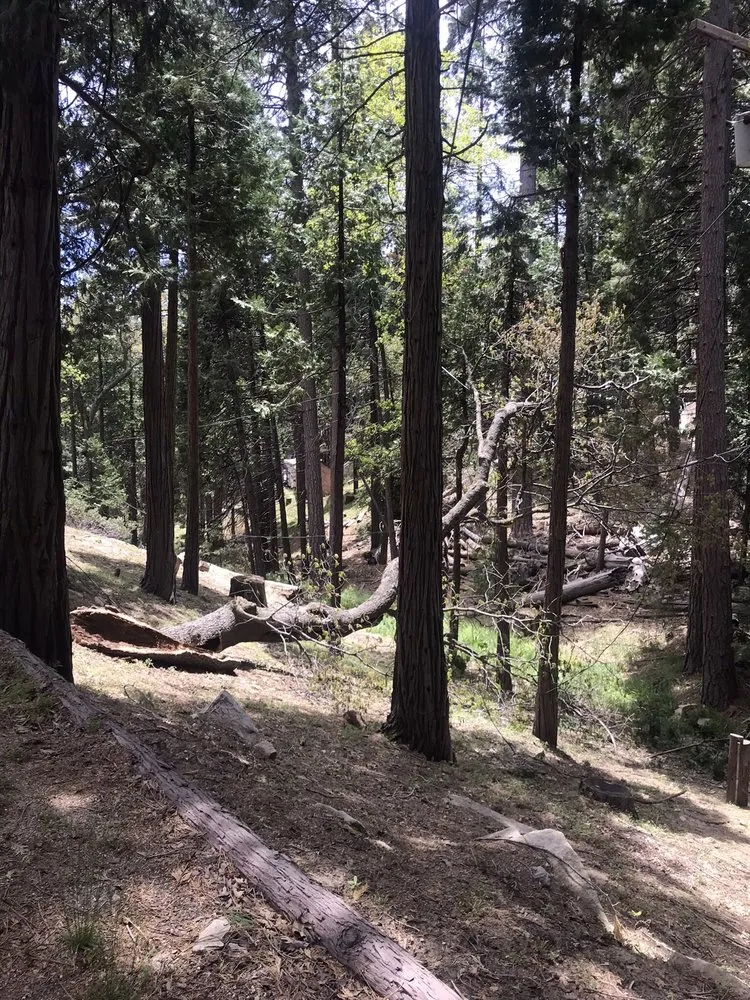 Slide of Moore Electric