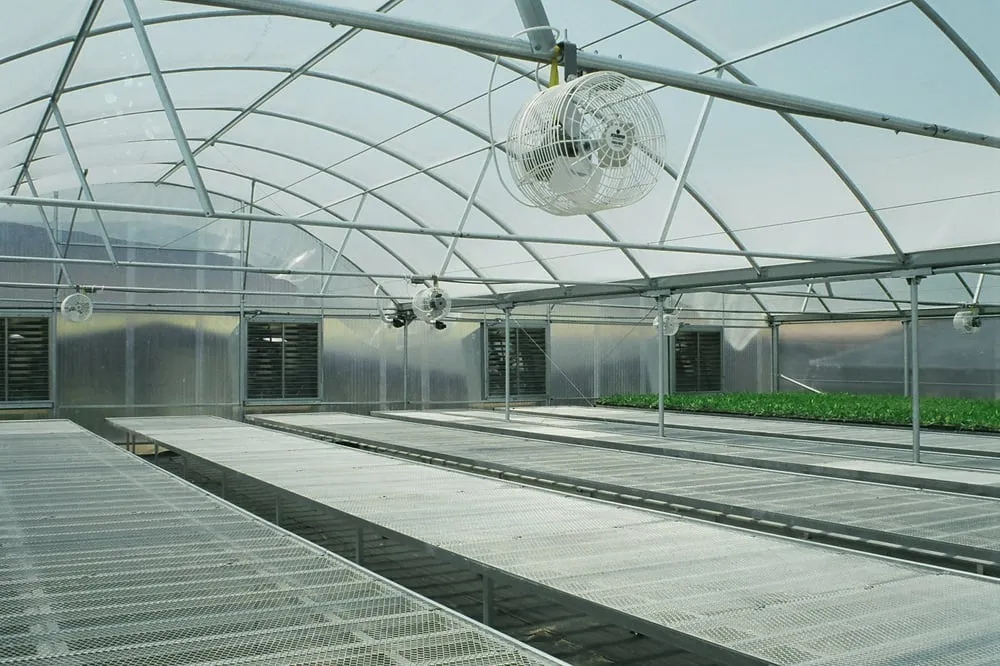 Licensed electrician providing wiring installation in , 