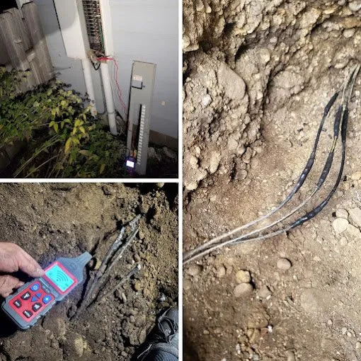 Slide of Moose Electric